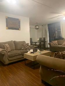 3 Bed 1.5 Washroom Condo Apartment for Rent Kennedy and Lawrence - Photo 4