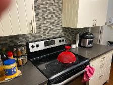 3 Bed 1.5 Washroom Condo Apartment for Rent Kennedy and Lawrence - Photo 5