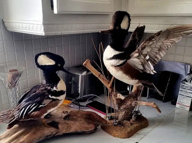 25 et 26 avril carte de hockey.bassball.couteau épée. Pokemon.vh - Photo 9