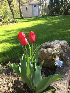 A beautiful bedroom & parking near UTM for rent