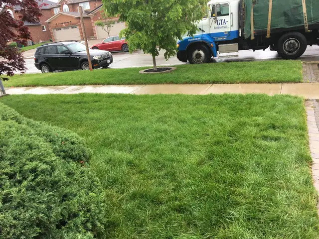 Farm Fresh Sod direct sod sod sod - Photo 2