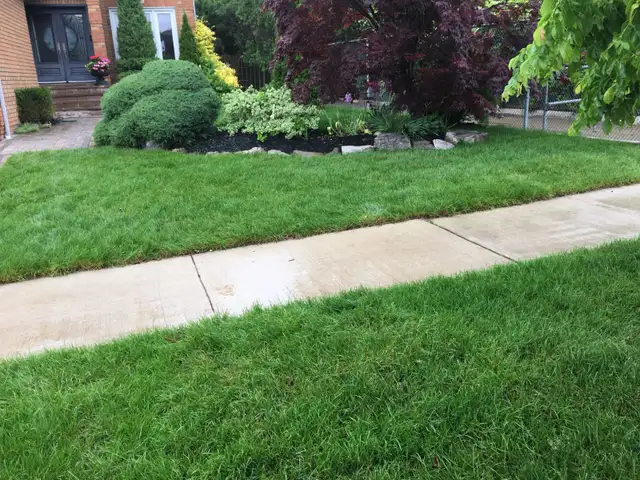 Farm Fresh Sod direct sod sod sod - Photo 4