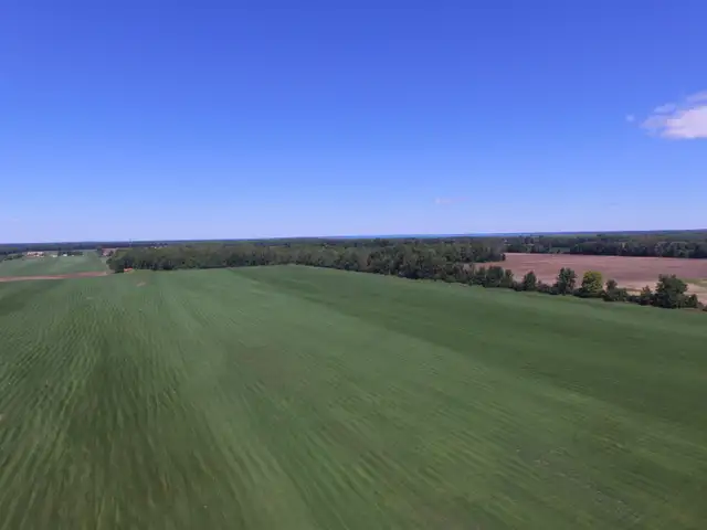 Farm Fresh Sod direct sod sod sod - Photo 5