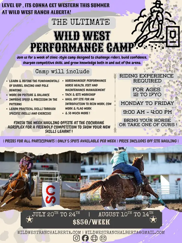 Performance Horse Camp