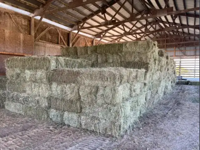 Small square hay bales 4-Sale