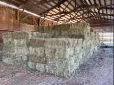 Small square hay bales 4-Sale