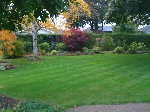 Property Maintenance