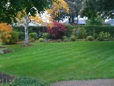 Property Maintenance