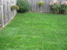 Property Maintenance - Photo 2