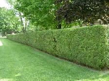 Property Maintenance - Photo 3
