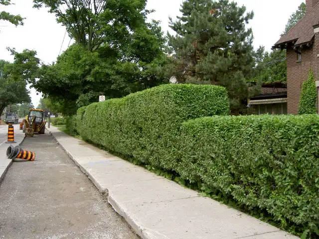 Property Maintenance - Photo 4