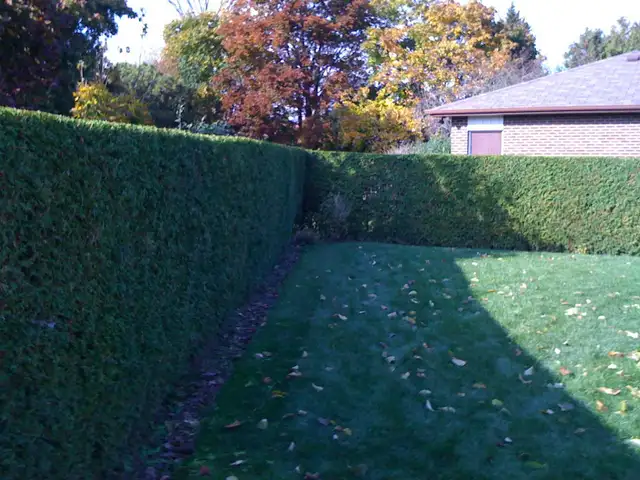 Property Maintenance - Photo 5