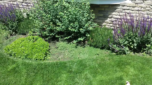 Property Maintenance - Photo 6