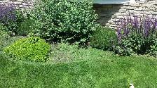 Property Maintenance - Photo 6