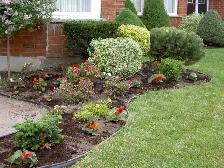Property Maintenance - Photo 10