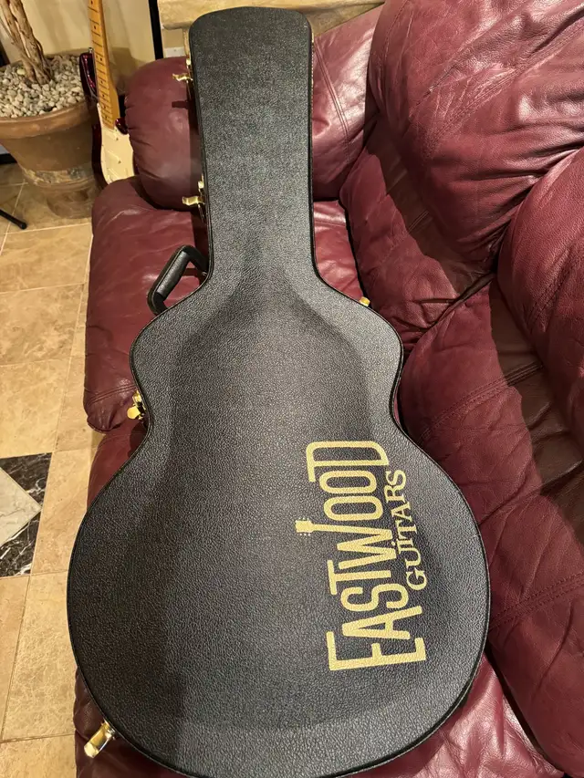 Eastwood Classic 12 String Semi-Hollow Body - Excellent - OHSC - Photo 10