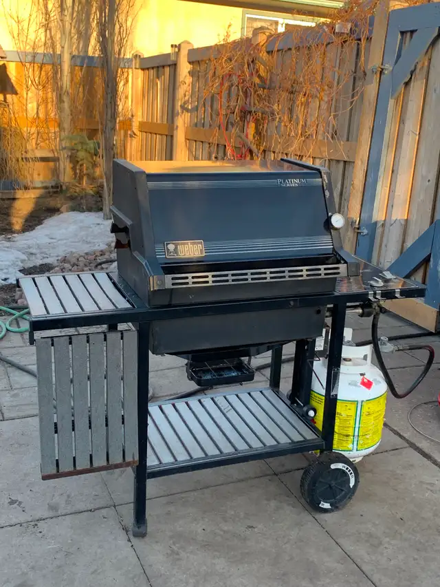 WEBBER/ PLATINUM - Photo 2