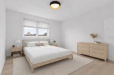 New 3 bedroom apartment for rent - Photo 3