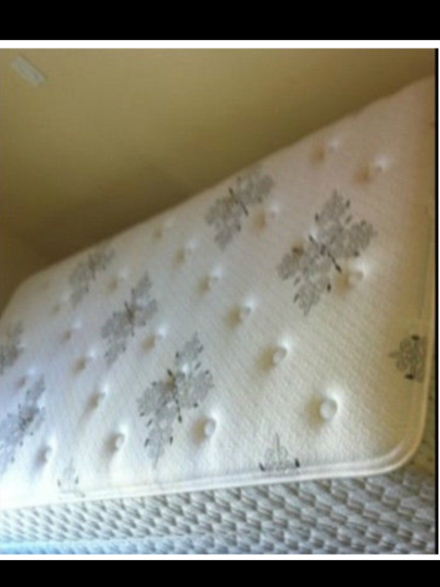 RoomForRent, KingswayMall, RoyalAlex, NAIT, McEwan, DowntownArea - Photo 3