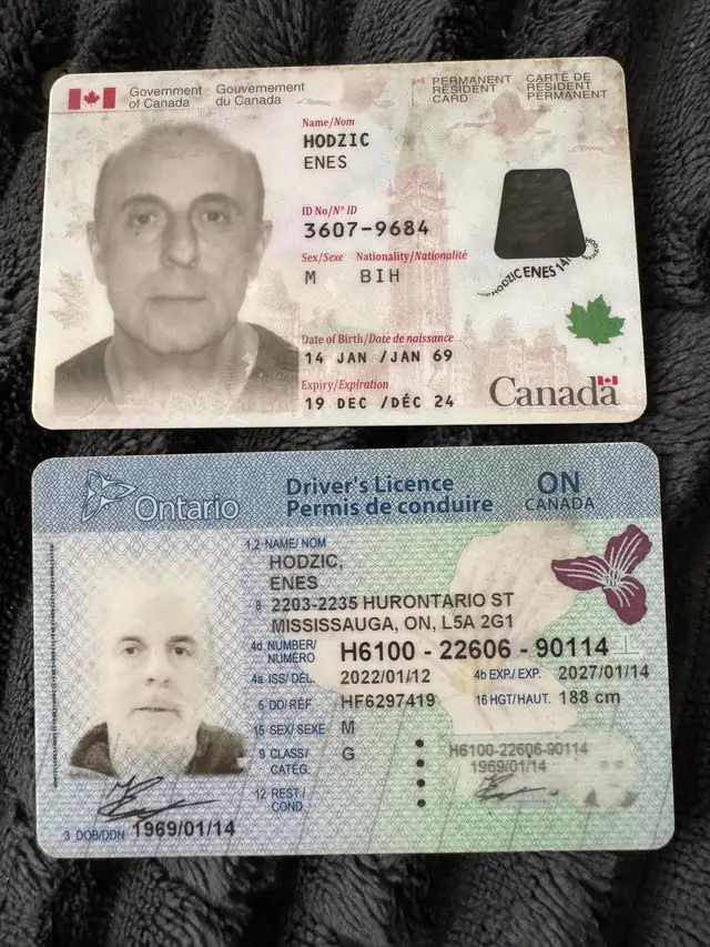 Sun Conure with Cage - Photo 5