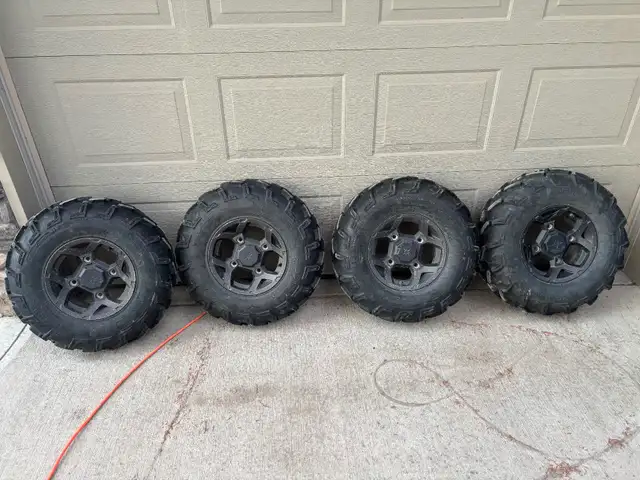Polaris rims and tires barely used.