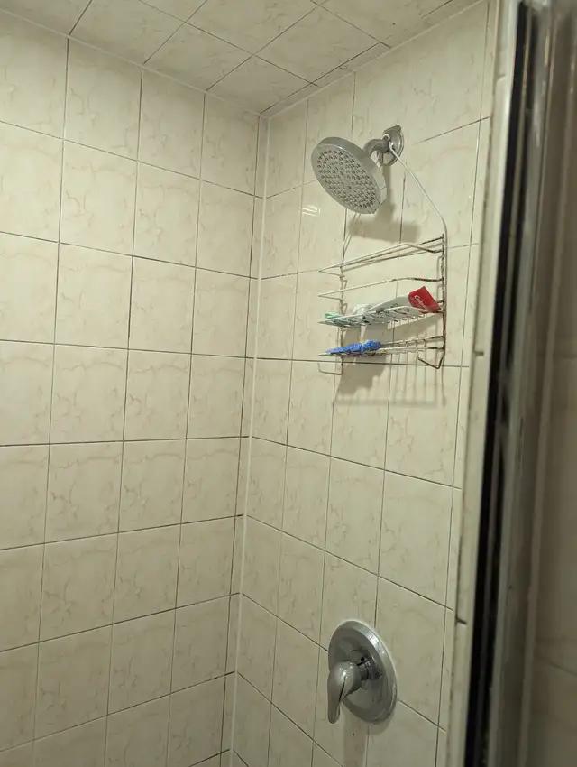 Bright ground fl room private washroom, parking @York University - Photo 10