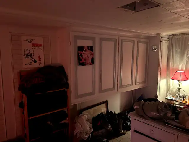 Beau et grand 2 ½ sur le Plateau disponible le 15 juin!! - Photo 3