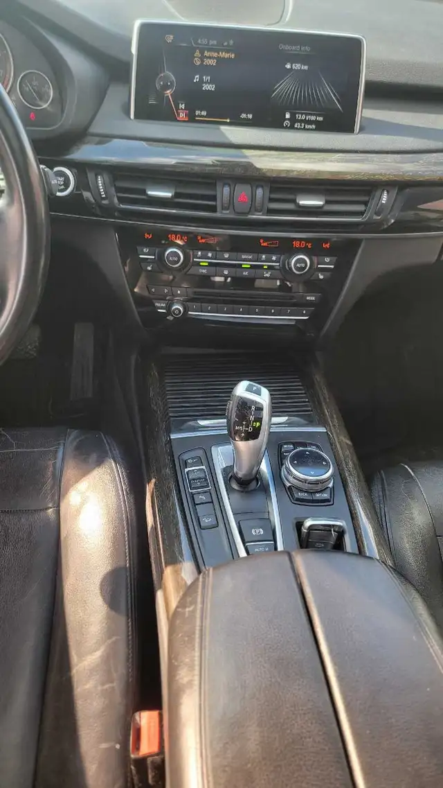 Saftied 2014 BMW x5 35ix - Photo 10