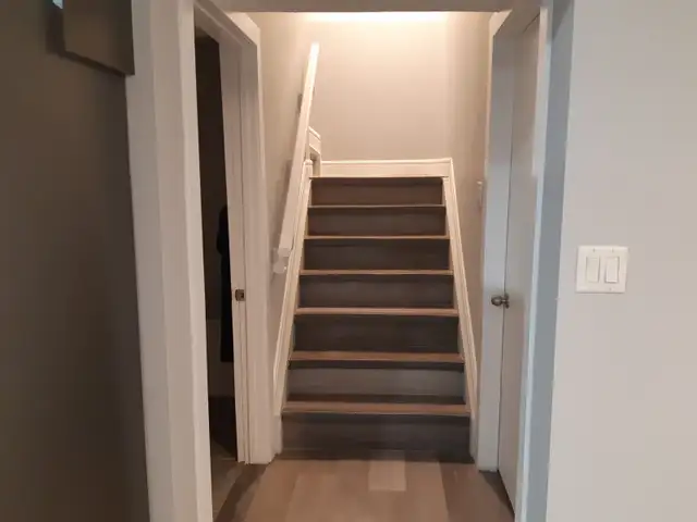 One Bedroom basement Rent for $800 - Photo 3