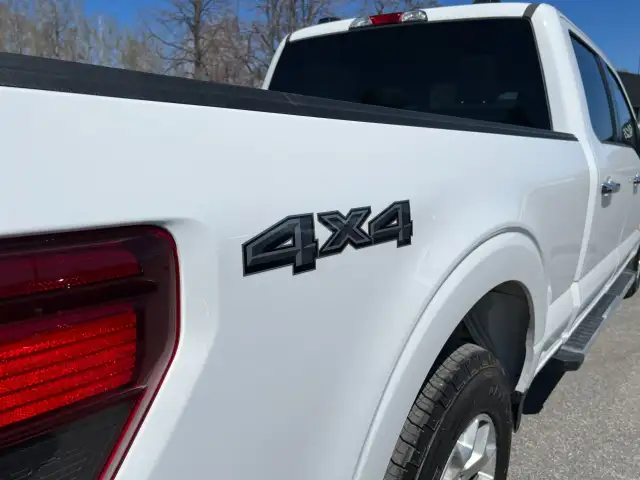 2025 Ford F-150 - Photo 8