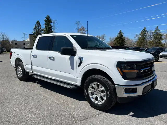 2025 Ford F-150 - Photo 9