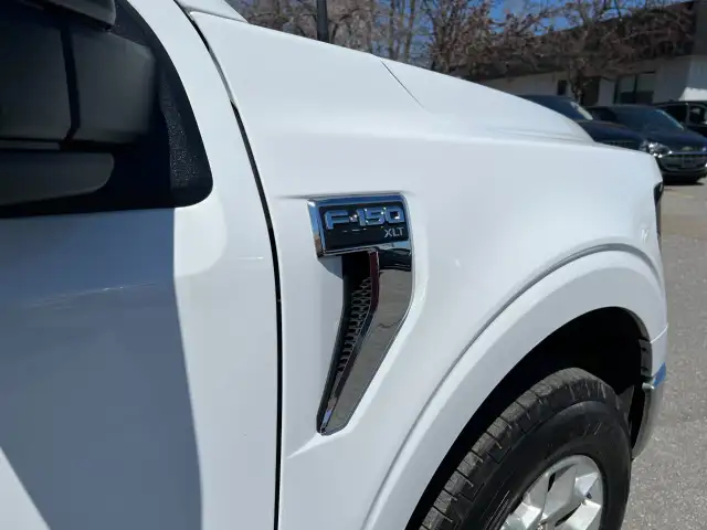 2025 Ford F-150 - Photo 10