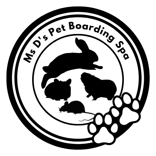 Small Animals Pet Sitting - Vet Tech - Photo 7