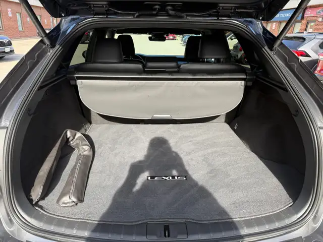 2025 Lexus RX RX 350 Auto, PREMIUM PKG - Photo 13