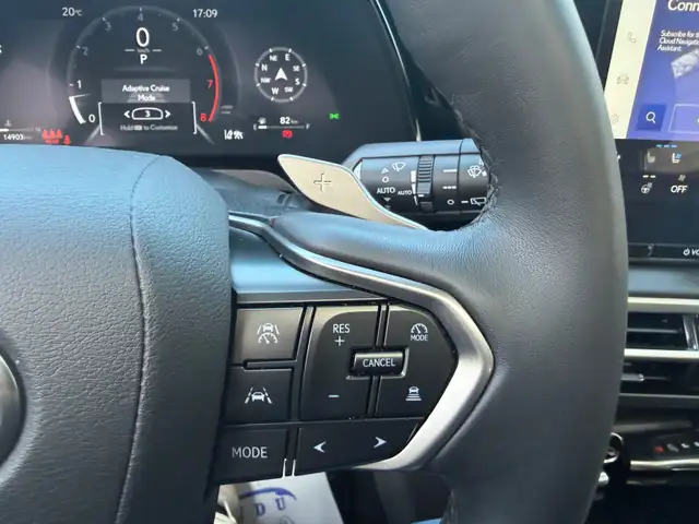 2025 Lexus RX RX 350 Auto, PREMIUM PKG - Photo 19