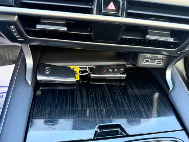 2025 Lexus RX RX 350 Auto, PREMIUM PKG - Photo 21