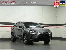 2020 Lexus NX 300 Red Interior Sunroof Navigation - Photo 3
