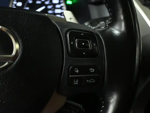 2020 Lexus NX 300 Red Interior Sunroof Navigation - Photo 16