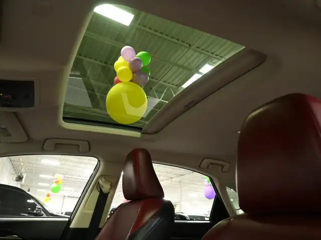 2020 Lexus NX 300 Red Interior Sunroof Navigation - Photo 22