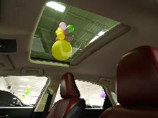 2020 Lexus NX 300 Red Interior Sunroof Navigation - Photo 22
