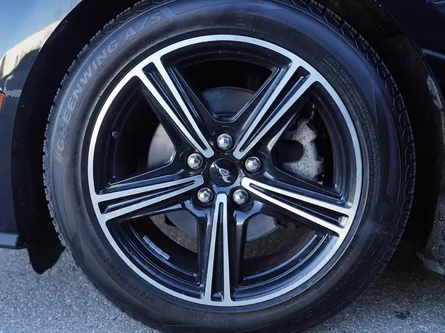 2024 Ford Mustang EcoBoost 2dr Convertible, Remote Start, BSM, C - Photo 10