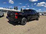 2026 Ford F-350 PLATINUM w/FX4, 5th WHL PREP, MNRF & 2KW PRO PWR - Photo 3