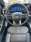 2026 Ford F-350 PLATINUM w/FX4, 5th WHL PREP, MNRF & 2KW PRO PWR - Photo 25