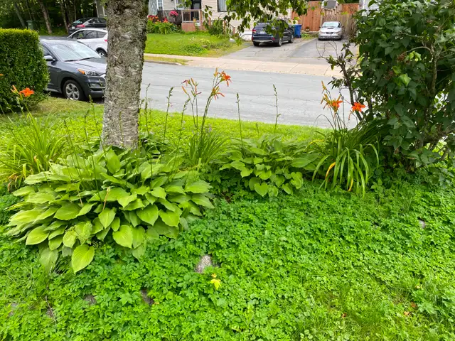 Four Bedroom, Two Bath Home for Rent in quiet Lower Sackville - Photo 3