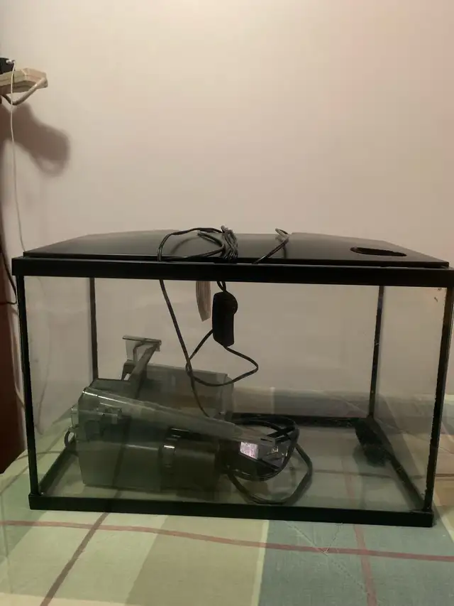 Aquarium 5 gallon à vendre