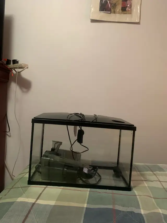 Aquarium 5 gallon à vendre - Photo 2