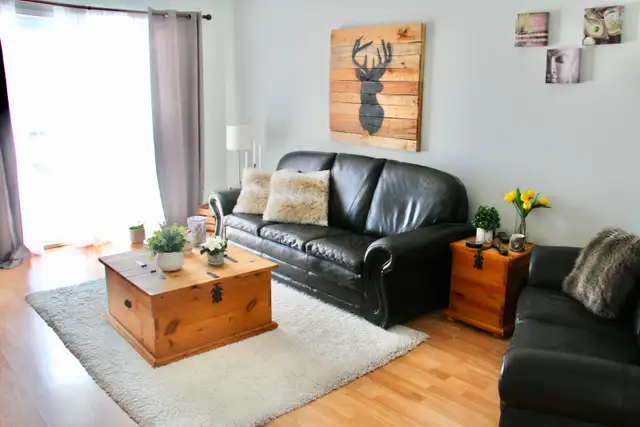 Beauport, grand 4 1/2, frais peint, 2è balcon - Photo 5