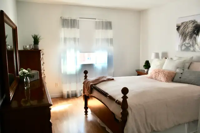 Beauport, grand 4 1/2, frais peint, 2è balcon - Photo 6