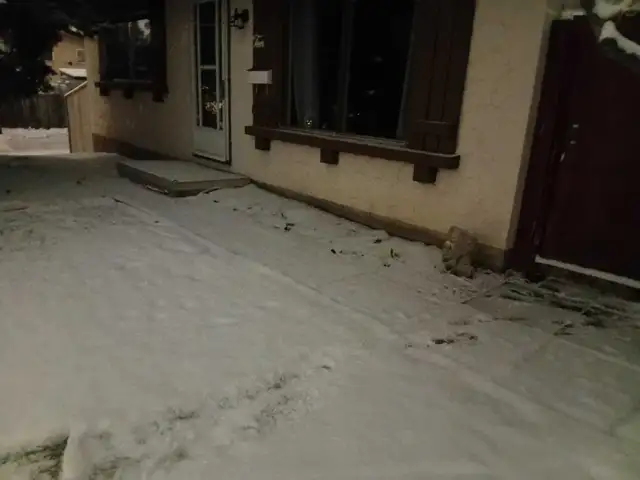 offering snow removal