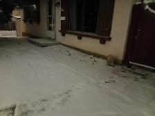 offering snow removal